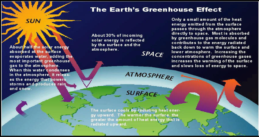 The earth’s greenhouse effect