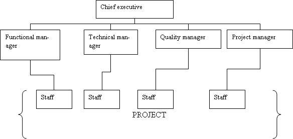 Project Management Plan: Telstra and Cara IPM Essay Example (Free)