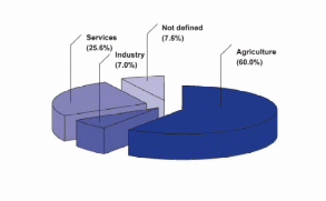 Child labor is common in the agriculture and services sectors,