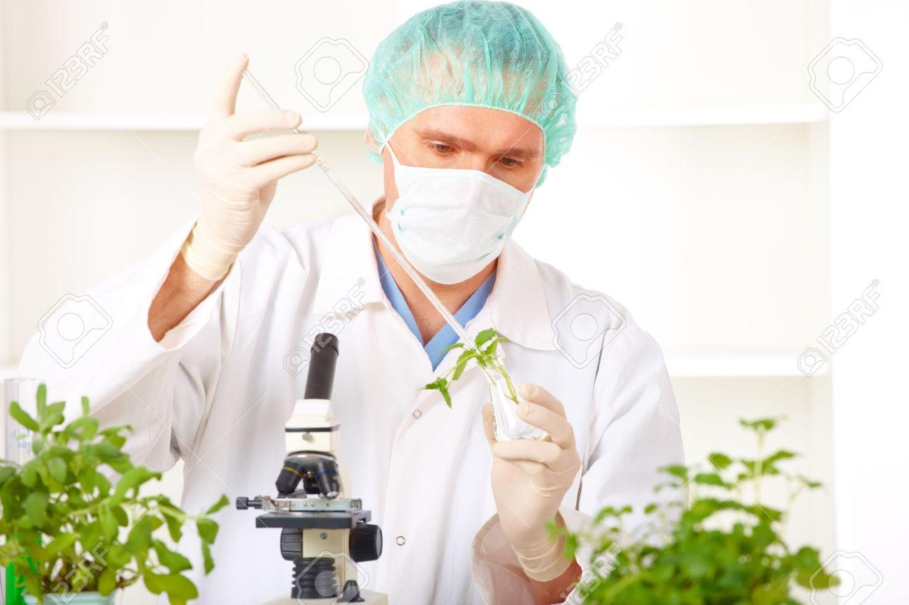 Researcher Creating a Transgene Plant.