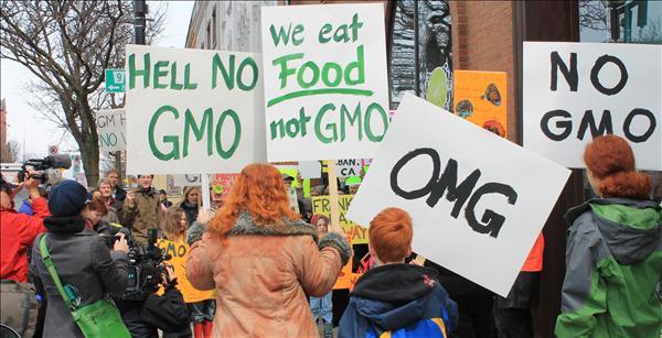 Consumers Protesting Against GM Food.