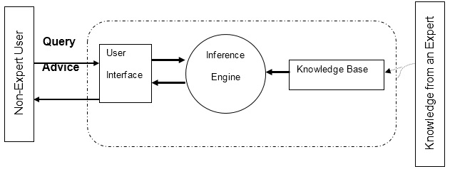 systems of knowledge project essay