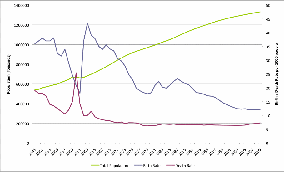 Chinese Population: Future Growth and Wellbeing Essay Example (Free)