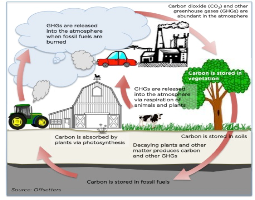 Climate Change and Energy Efficiency in Architecture Essay Example (Free)