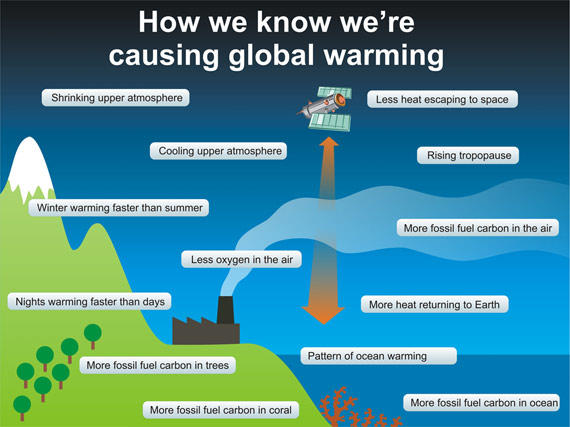 Humans contribute to global warming.