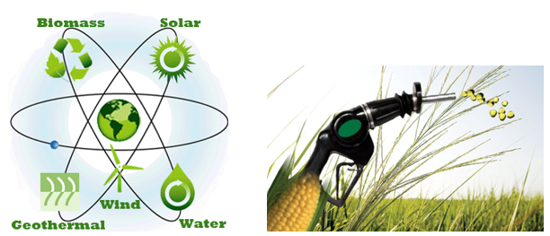 Alternative sources of energy. Bio-fuel.