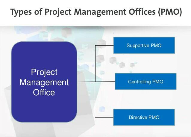 Types of PMO and Interface Management Essay Example (Free)