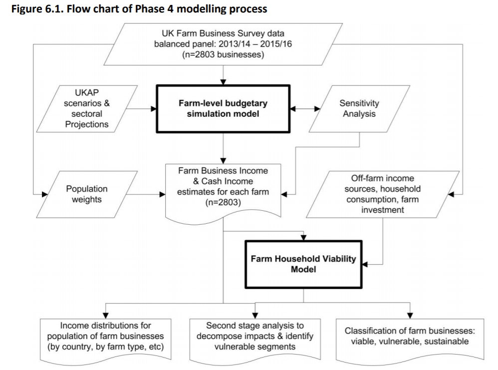 Flow chart of Phase 4 modelling process 