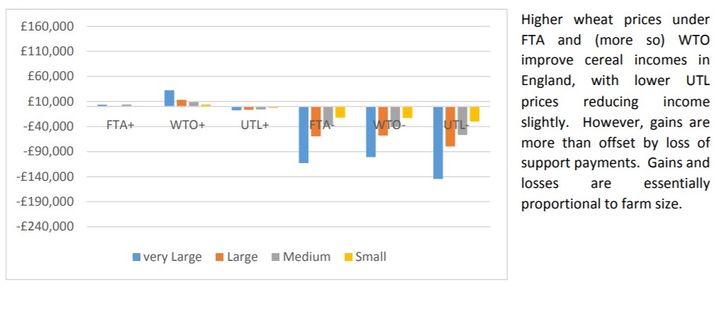 Estimated change in FBI (£) for different sizes of cereal farm in the UK