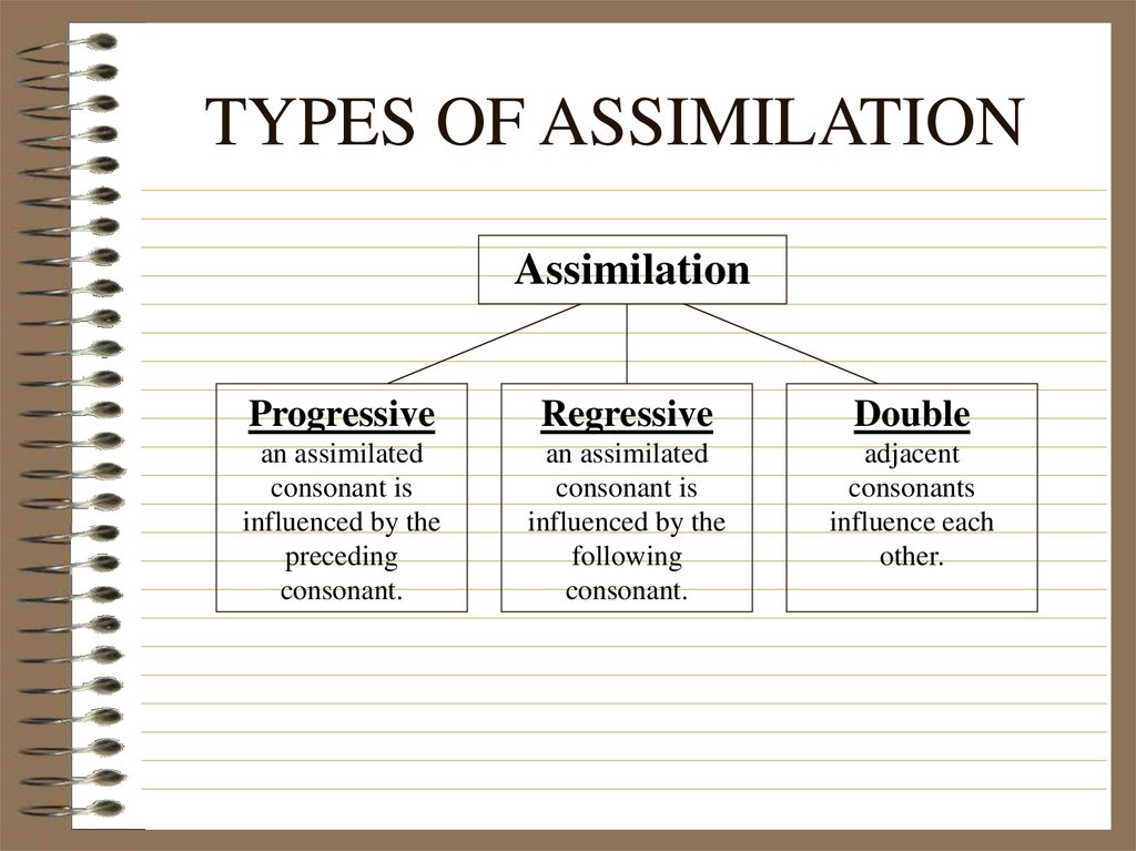 the-nasal-assimilation-process-in-the-korean-language-free-paper-examples