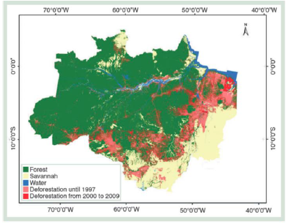 Pattern of deforestation in the Amazon rainforest