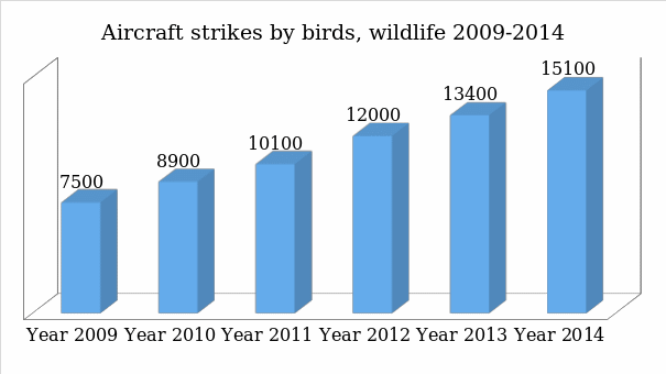 Aircraft strikes by birds, wildlife 2009-2014