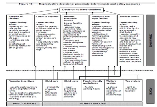 Factors and direct and indirect policies influencing the fertility rate